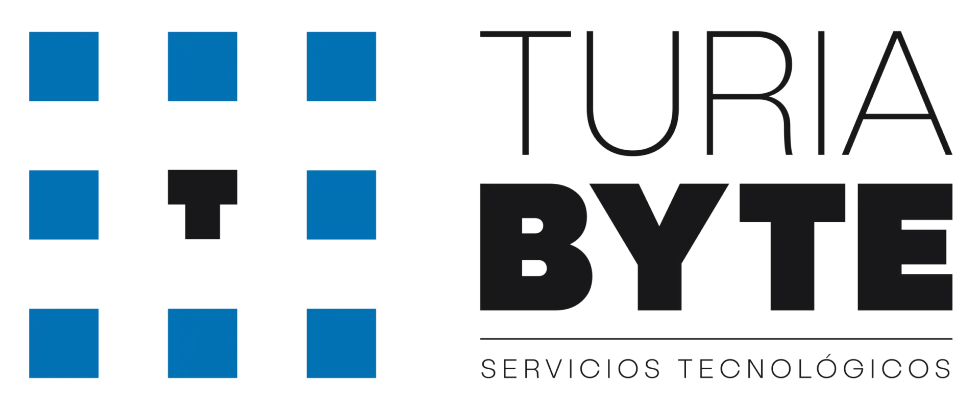 TuriaByte Servicios tecnológicos